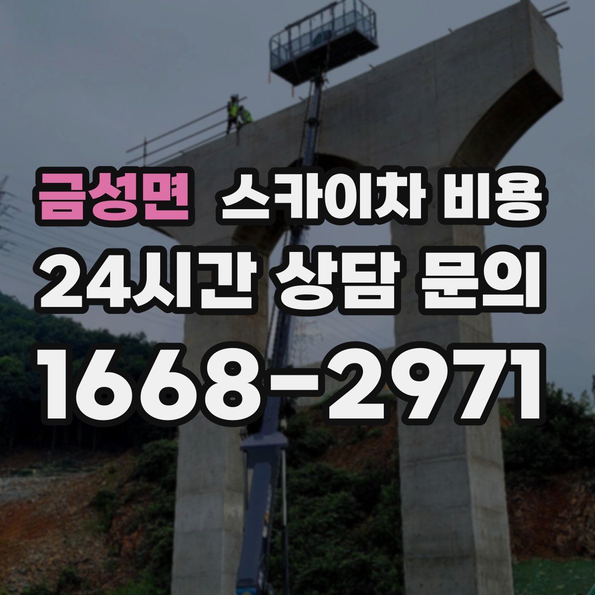 금성면 스카이차 비용