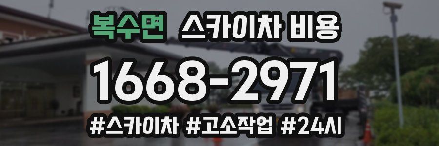 복수면 스카이차 비용