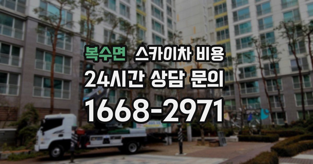 복수면 스카이차 비용