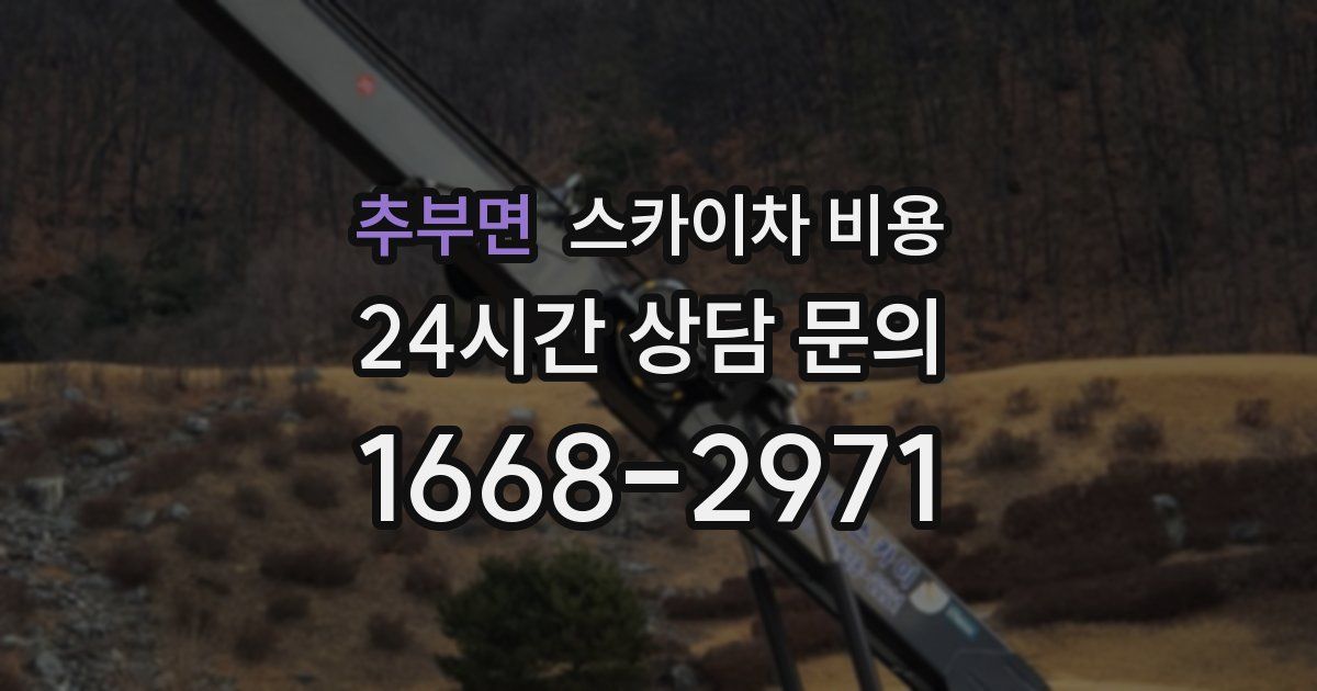 추부면 스카이차 비용