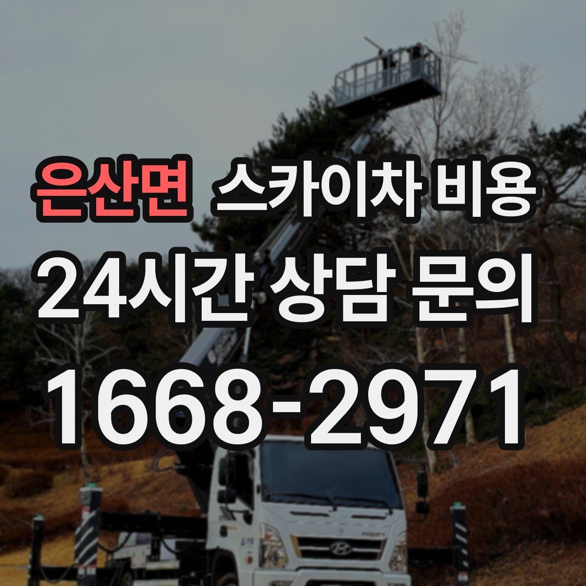 은산면 스카이차 비용