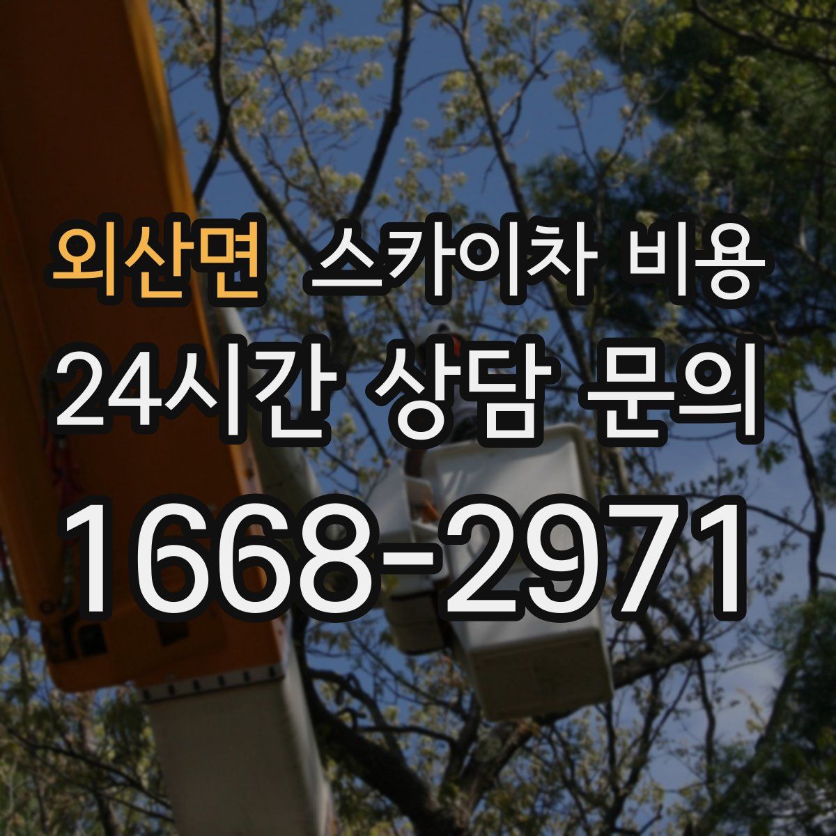 외산면 스카이차 비용