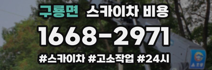 구룡면 스카이차 비용