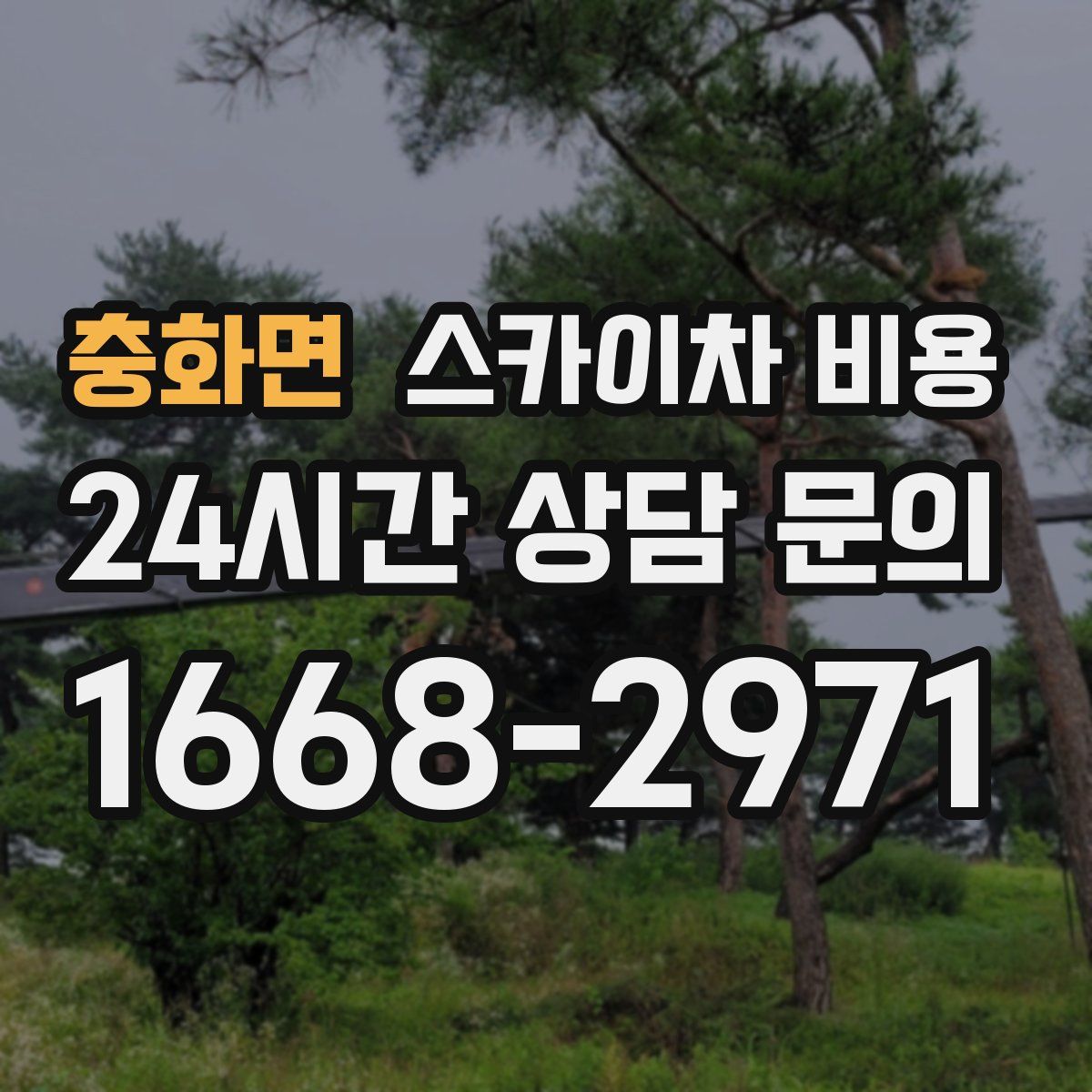 충화면 스카이차 비용