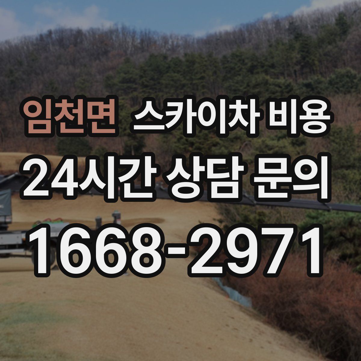 임천면 스카이차 비용