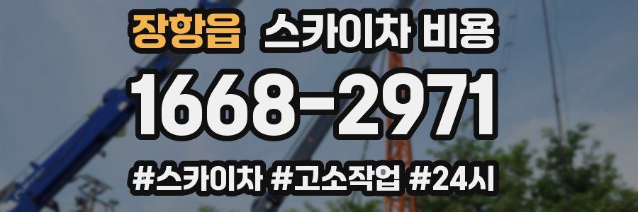 장항읍 스카이차 비용