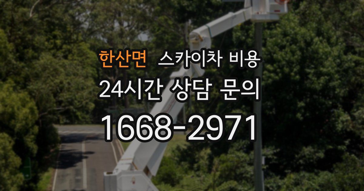 한산면 스카이차 비용