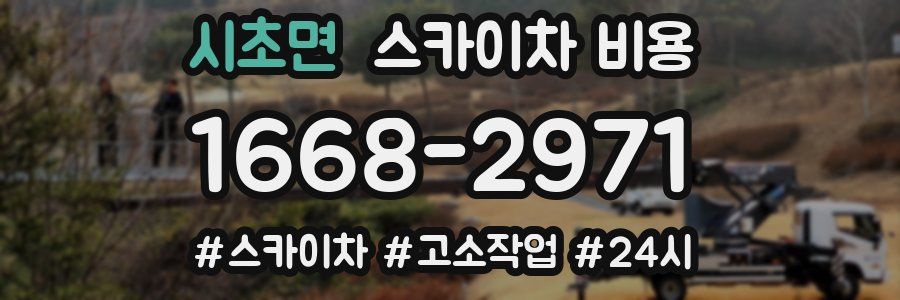 시초면 스카이차 비용