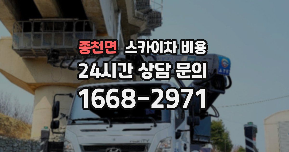 종천면 스카이차 비용