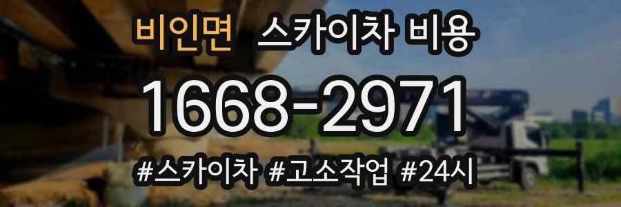 비인면 스카이차 비용