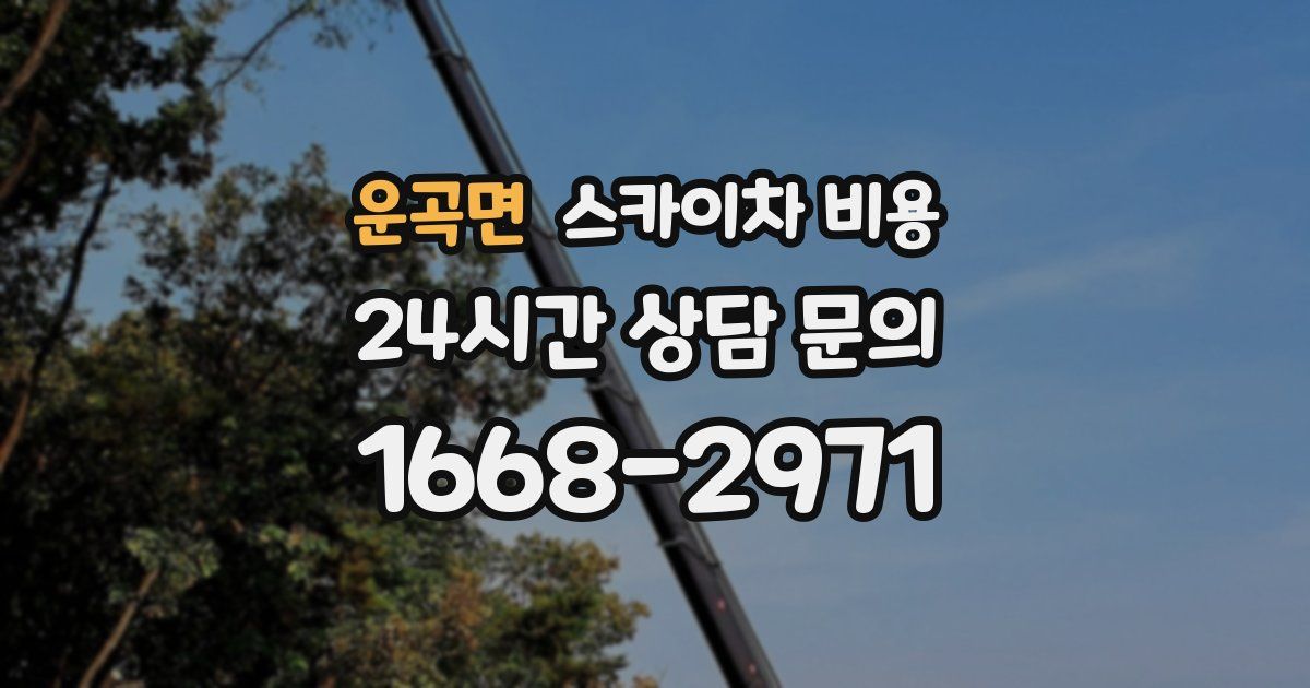 운곡면 스카이차 비용