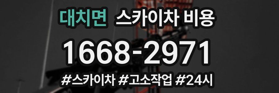 대치면 스카이차 비용