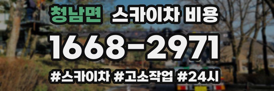 청남면 스카이차 비용