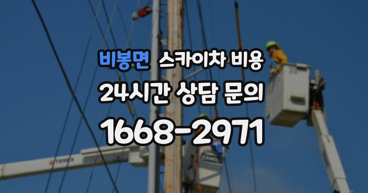 비봉면 스카이차 비용