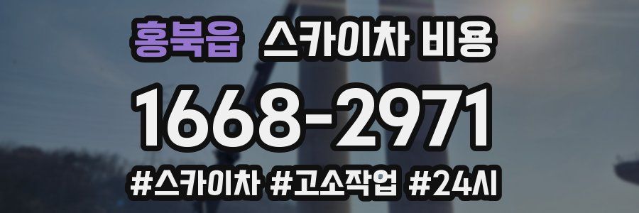 홍북읍 스카이차 비용