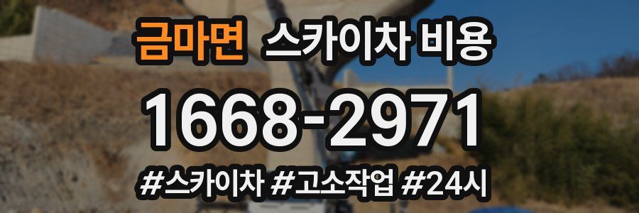 금마면 스카이차 비용
