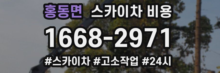 홍동면 스카이차 비용