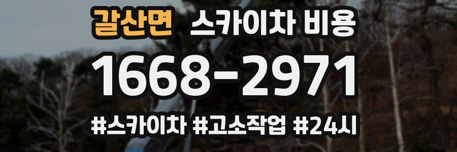 갈산면 스카이차 비용