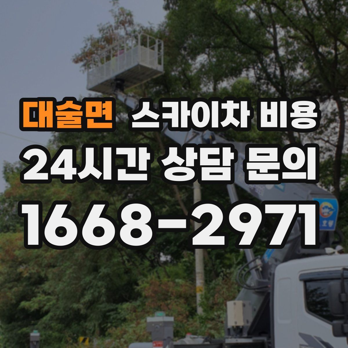 대술면 스카이차 비용