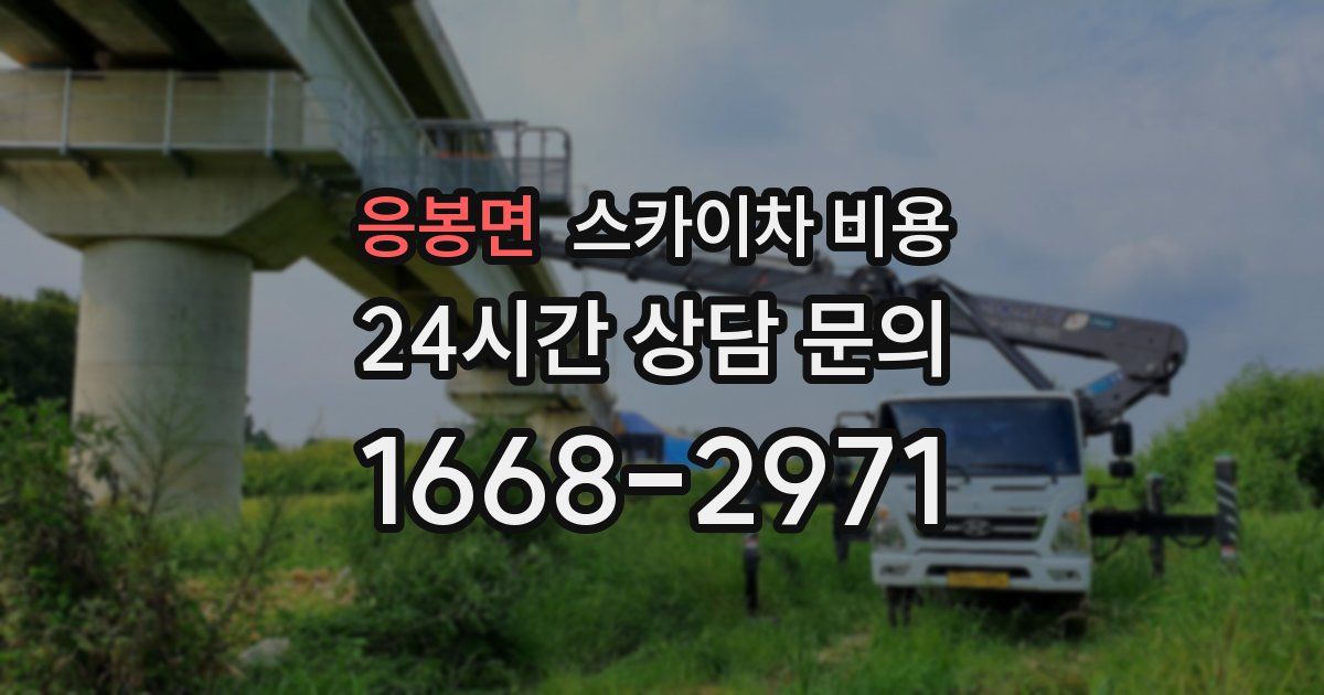 응봉면 스카이차 비용