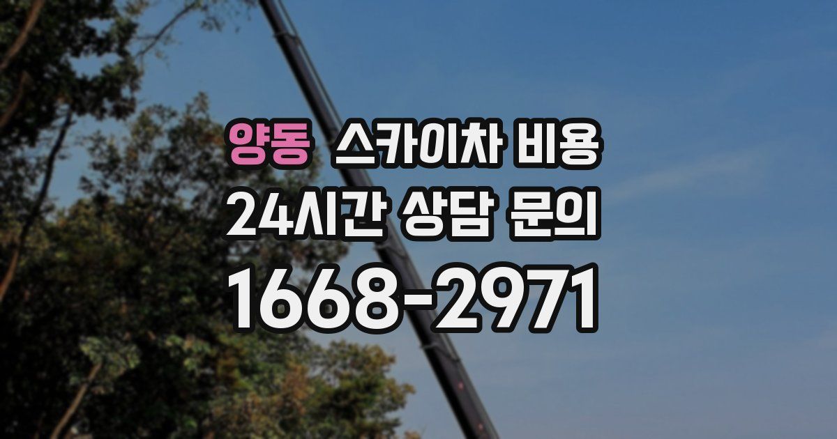 양동 스카이차 비용