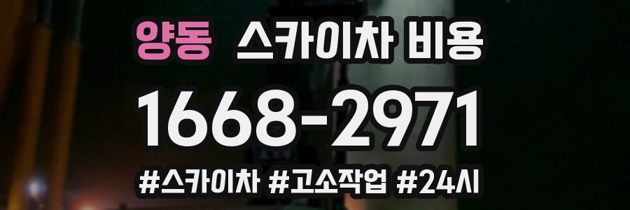 양동 스카이차 비용