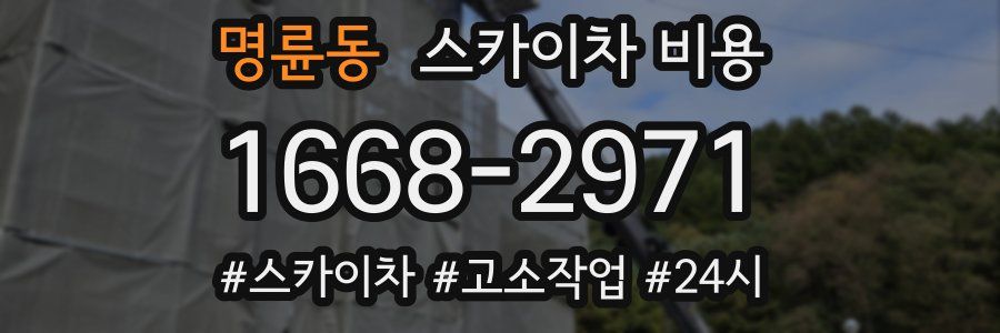 명륜동 스카이차 비용