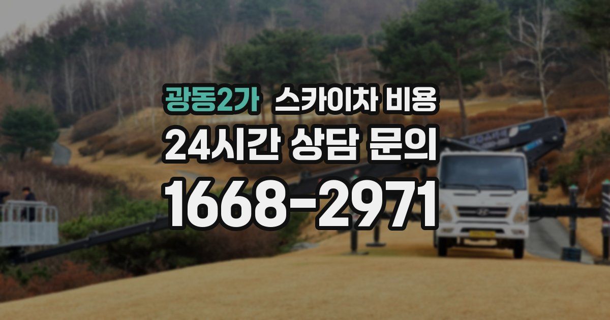 광동2가 스카이차 비용