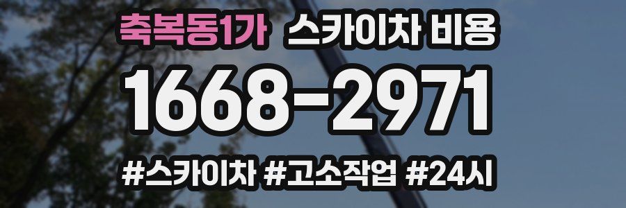 축복동1가 스카이차 비용