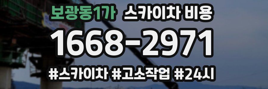 보광동1가 스카이차 비용