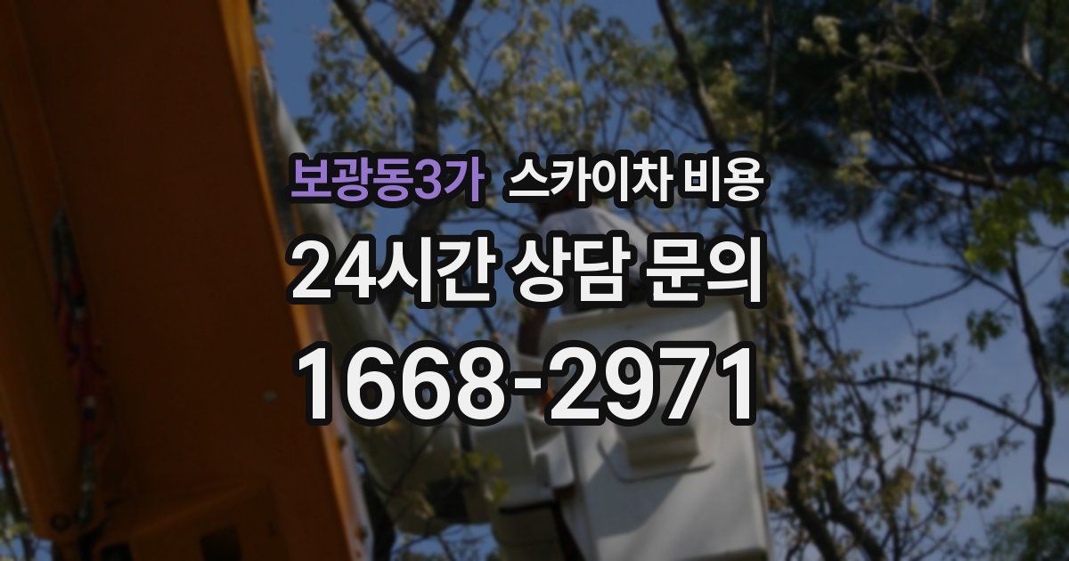보광동3가 스카이차 비용