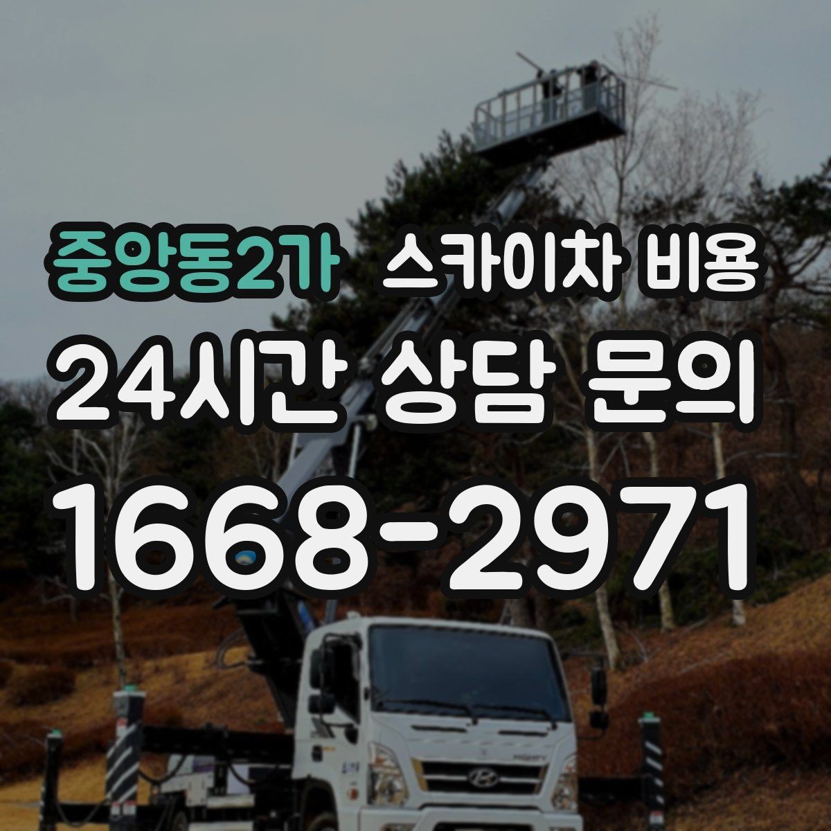 중앙동2가 스카이차 비용 단속 구역 현장은 어떤 점을 확인해야 할까