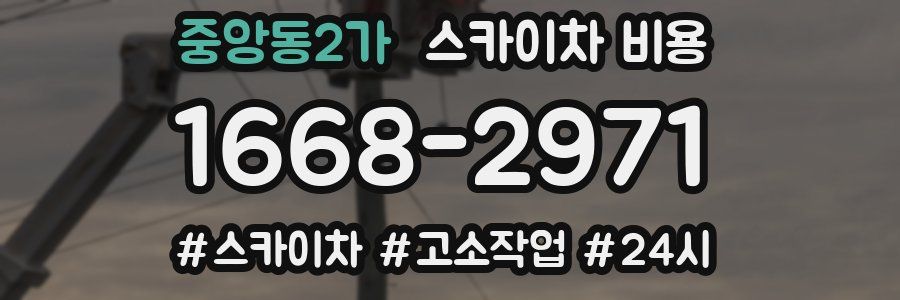 중앙동2가 스카이차 비용