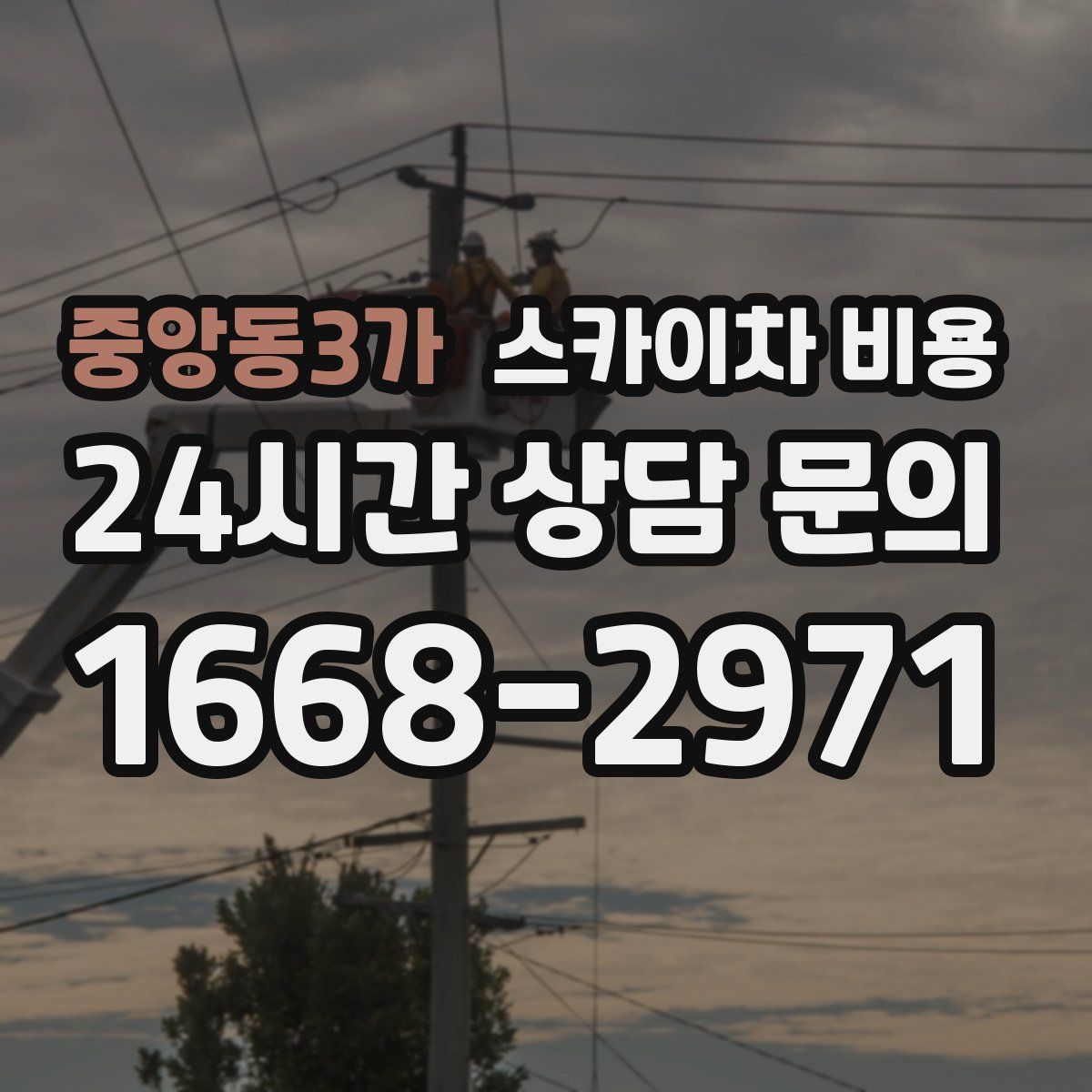 중앙동3가 스카이차 비용