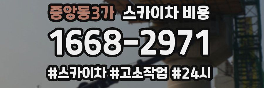 중앙동3가 스카이차 비용