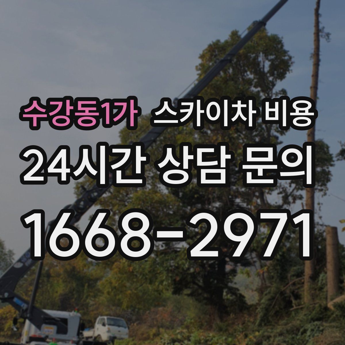 수강동1가 스카이차 비용