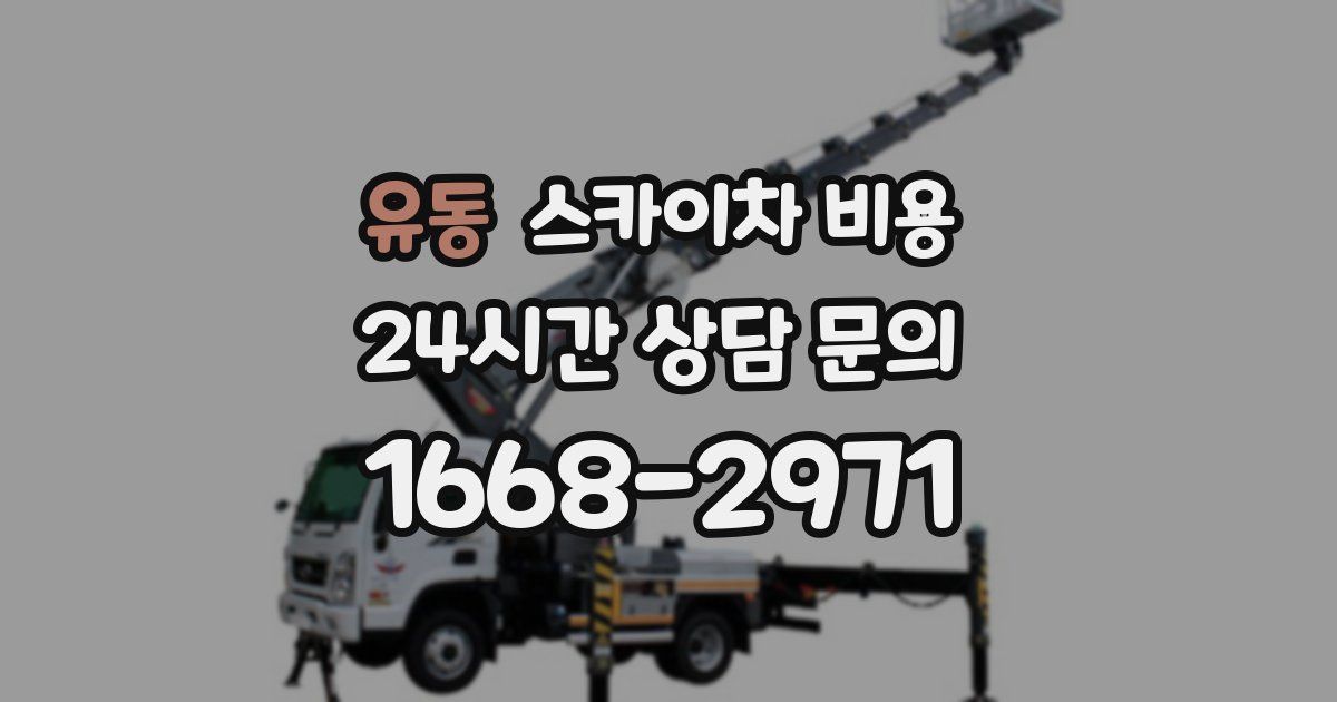 유동 스카이차 비용