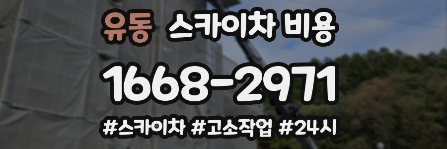 유동 스카이차 비용