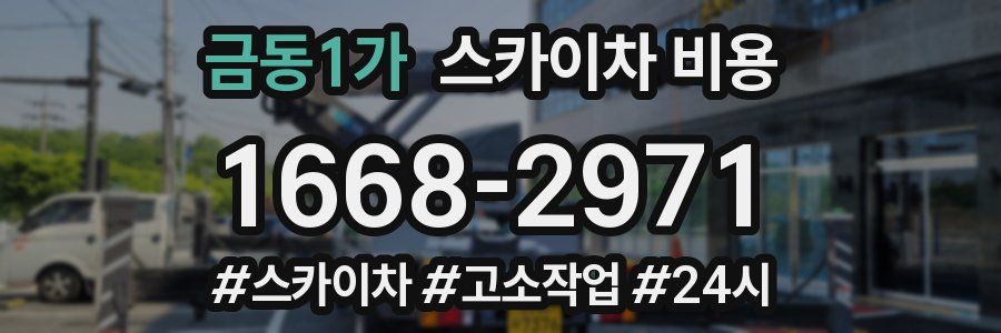 금동1가 스카이차 비용