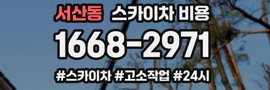 서산동 스카이차 비용