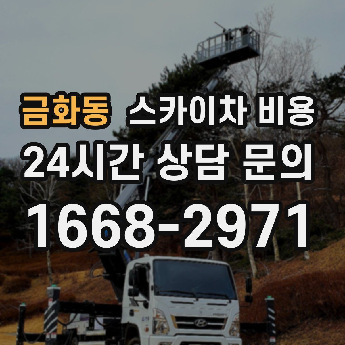 금화동 스카이차 비용
