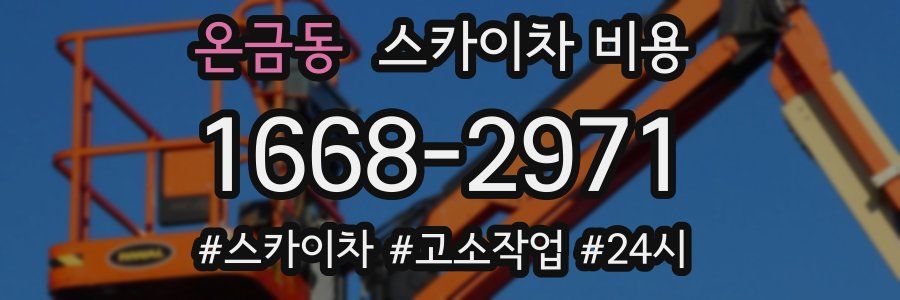 온금동 스카이차 비용