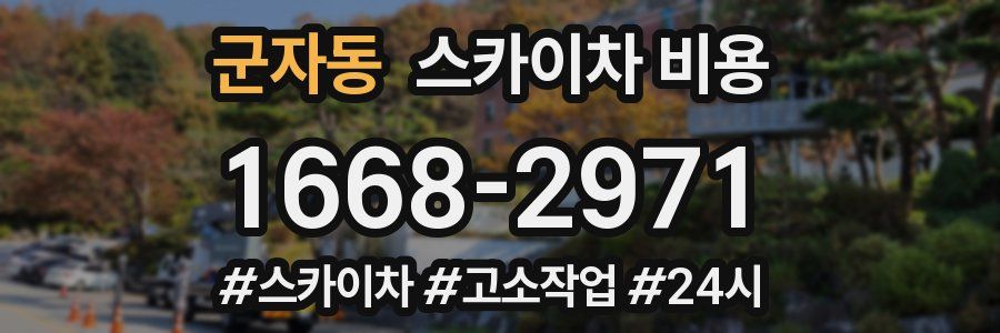 군자동 스카이차 비용