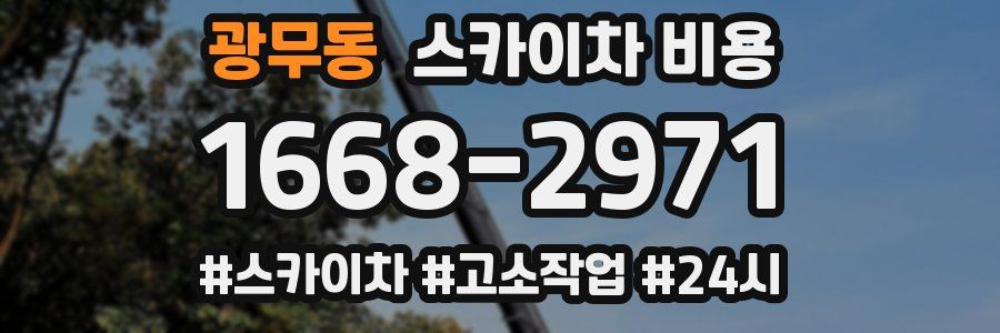 광무동 스카이차 비용