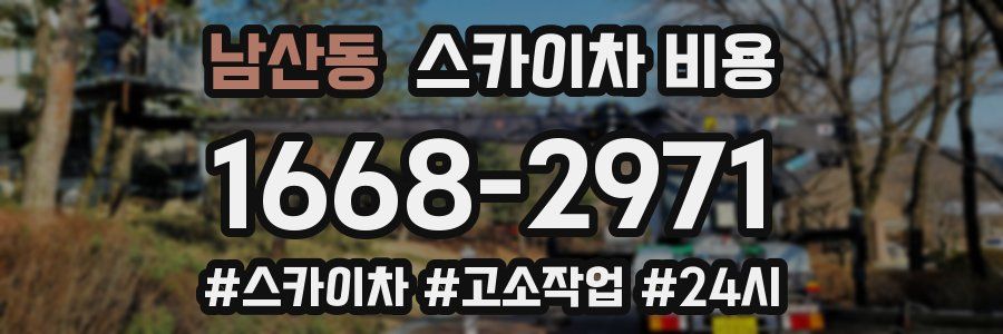 남산동 스카이차 비용