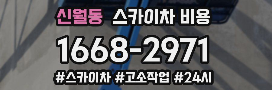 신월동 스카이차 비용