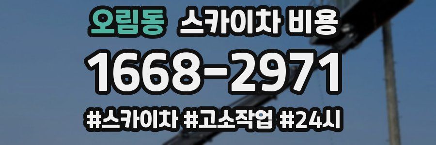 오림동 스카이차 비용