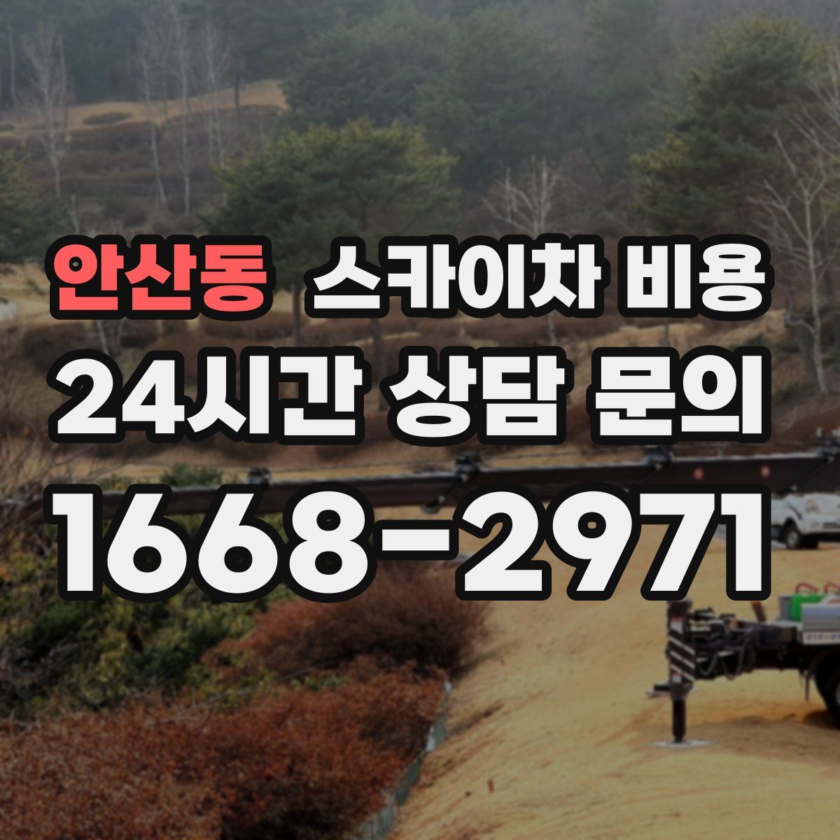 안산동 스카이차 비용