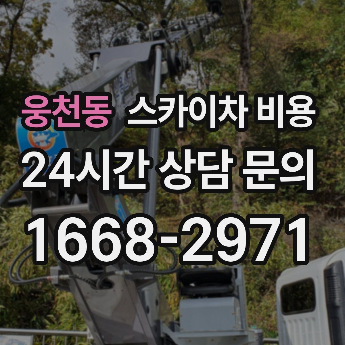 웅천동 스카이차 비용 배관이 여러 라인이면 견적이 달라질까