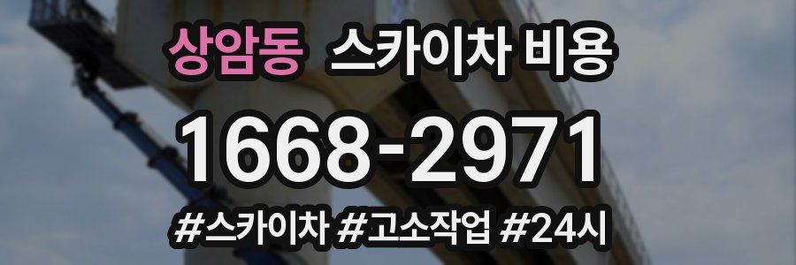 상암동 스카이차 비용